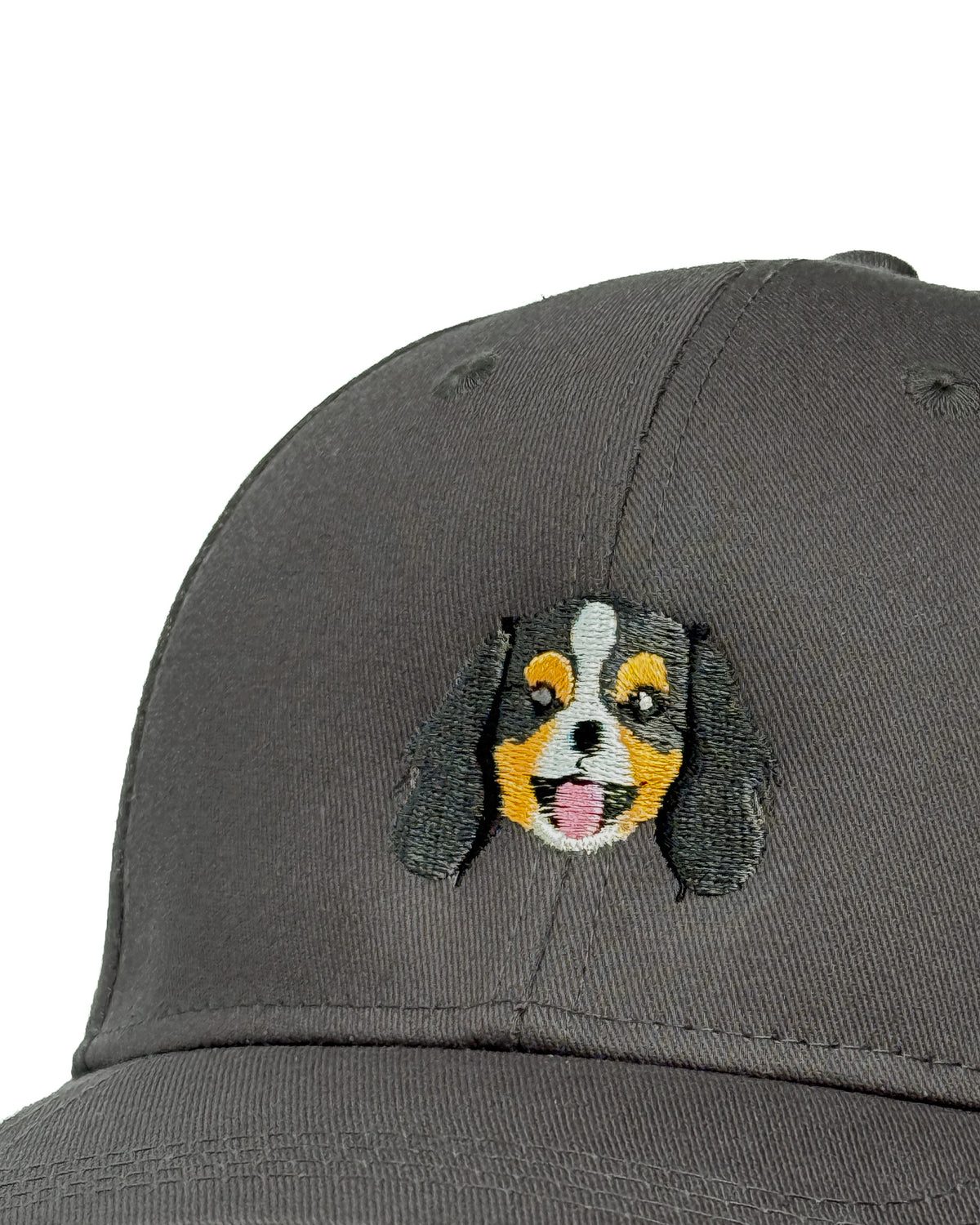 Cavalier King Charles Embroidered Cap – Black & Tan / Ruby Coat